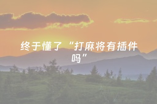 终于懂了“打麻将有插件吗”（AI辅助胡牌规则)