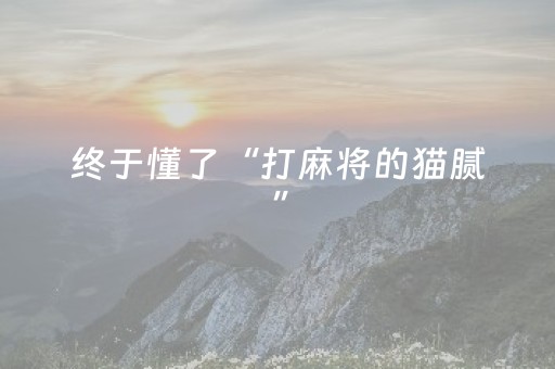 终于懂了“打麻将的猫腻”（如何提高胜率)