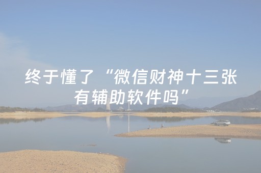 终于懂了“微信财神十三张有辅助软件吗”（外辅工具)