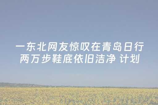 一东北网友惊叹在青岛日行两万步鞋底依旧洁净 计划来青岛养老