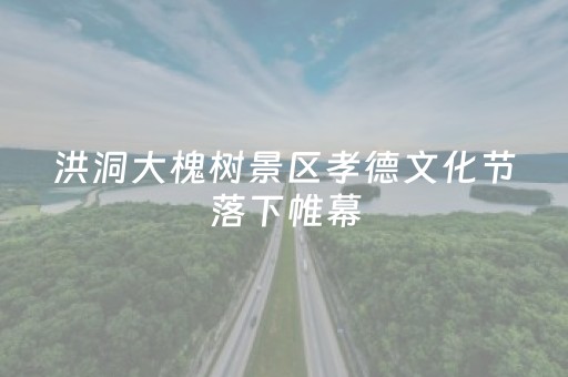 洪洞大槐树景区孝德文化节落下帷幕