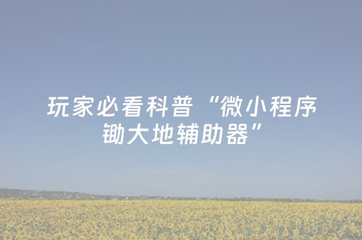 玩家必看科普“微小程序锄大地辅助器”（免费专用神器)