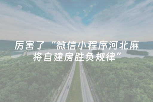 厉害了“微信小程序河北麻将自建房胜负规律”（可以设置输赢吗)