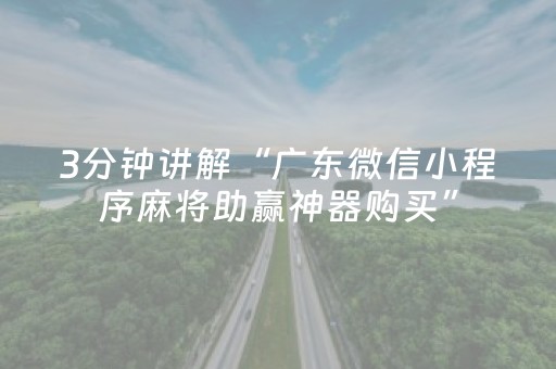 3分钟讲解“广东微信小程序麻将助赢神器购买”（助攻神器)