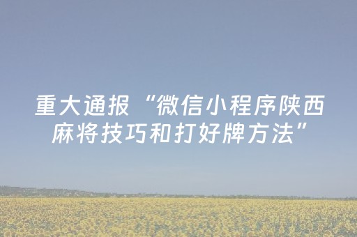 重大通报“微信小程序陕西麻将技巧和打好牌方法”（免费专用神器)
