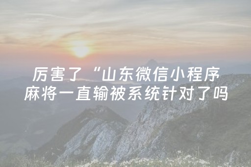 厉害了“山东微信小程序麻将一直输被系统针对了吗”（辅助器插件)