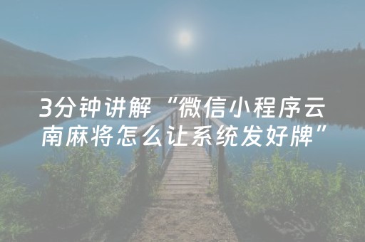 3分钟讲解“微信小程序云南麻将怎么让系统发好牌”（辅牌器插件购买)