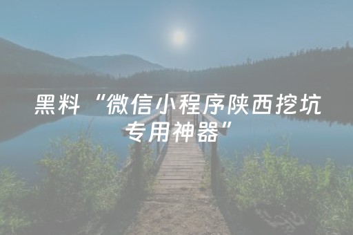 黑料“微信小程序陕西挖坑专用神器”（规律确实有挂)