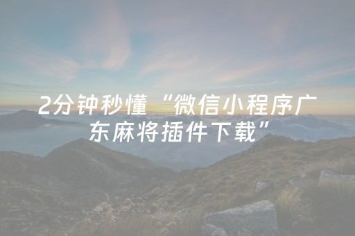 2分钟秒懂“微信小程序广东麻将插件下载”（为什么有人一直赢)
