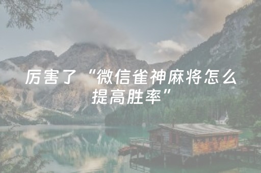 厉害了“微信雀神麻将怎么提高胜率”（助赢神器)