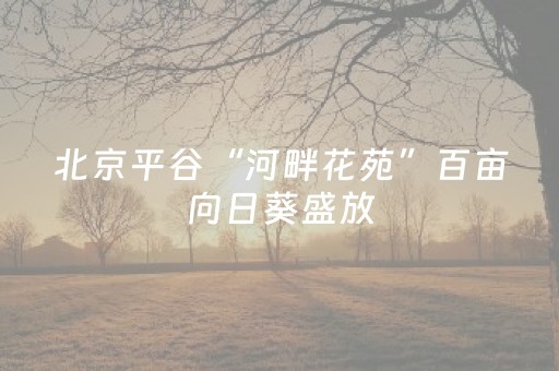 3分钟讲解“财神十三张开挂辅助器应用”（怎么设置才能赢)