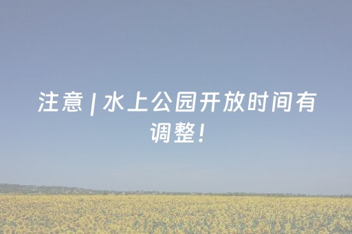 盘点十款“微信小程序麻将铺牌器购买”（胜负规律拿好牌)