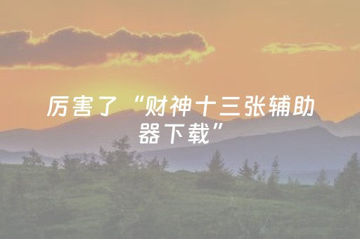 厉害了“财神十三张辅助器下载”（开挂辅助器插件)