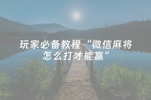 玩家必备教程“微信麻将怎么打才能赢”（外辅工具)