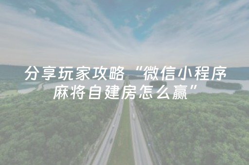 分享玩家攻略“微信小程序麻将自建房怎么赢”（辅助器插件)