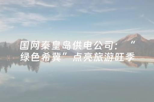 国网秦皇岛供电公司：“绿色希冀”点亮旅游旺季