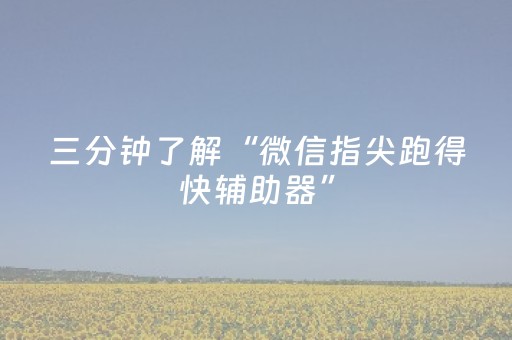 三分钟了解“微信指尖跑得快辅助器”（神器通用版)