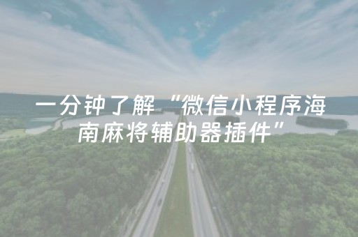 一分钟了解“微信小程序海南麻将辅助器插件”（助赢神器)