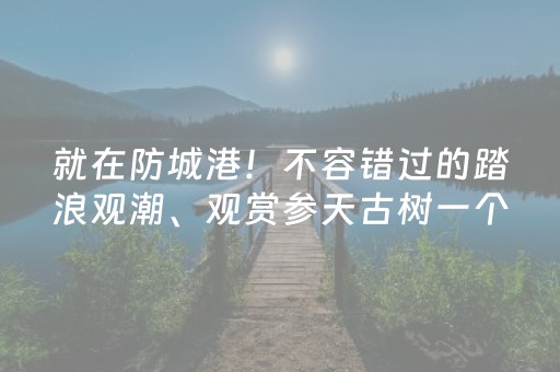 3分钟讲解“手机打牌高科技设备”（专用神器)