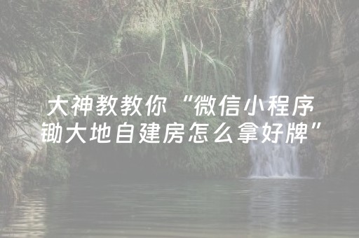 大神教教你“微信小程序锄大地自建房怎么拿好牌”（辅助挂发牌规律)