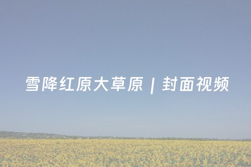 雪降红原大草原｜封面视频