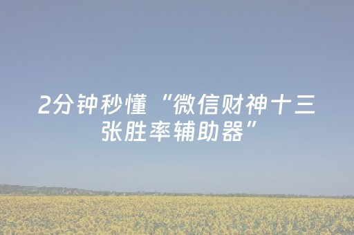 2分钟秒懂“微信财神十三张胜率辅助器”（插件开挂免费AI)