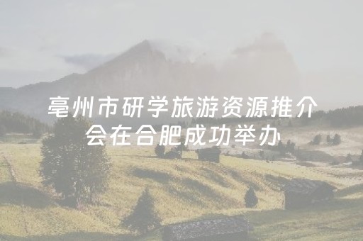 石刻为媒 七夕为约 大足青年联谊活动“缘”满落幕
