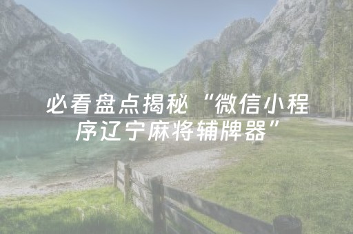 必看盘点揭秘“微信小程序辽宁麻将辅牌器”（辅助器通用版)
