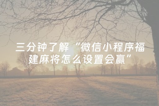 三分钟了解“微信小程序福建麻将怎么设置会赢”（自建房胜负规律)