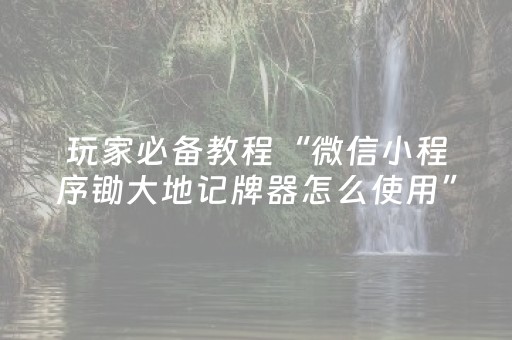 玩家必备教程“微信小程序锄大地记牌器怎么使用”（辅助器插件)
