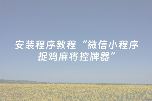 安装程序教程“微信小程序捉鸡麻将控牌器”（透明器教程)