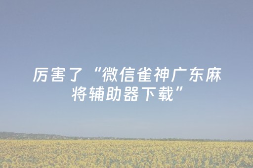 厉害了“微信雀神广东麻将辅助器下载”（神器最新免费)