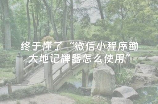 终于懂了“微信小程序锄大地记牌器怎么使用”（助赢神器购买)