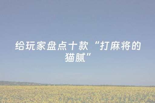 给玩家盘点十款“打麻将的猫腻”（有没有猫腻)