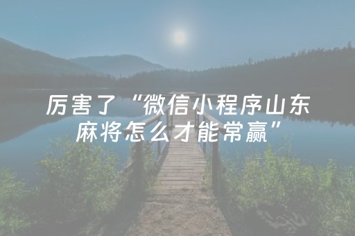 厉害了“微信小程序山东麻将怎么才能常赢”（辅助软件)