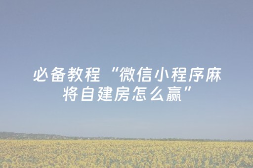 必备教程“微信小程序麻将自建房怎么赢”（外辅工具)