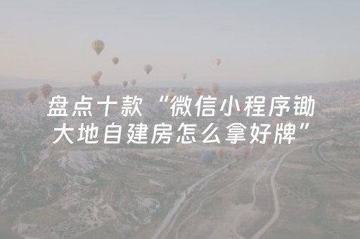 盘点十款“微信小程序锄大地自建房怎么拿好牌”（辅助器下载)
