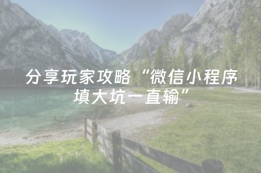分享玩家攻略“微信小程序填大坑一直输”（输赢规律)