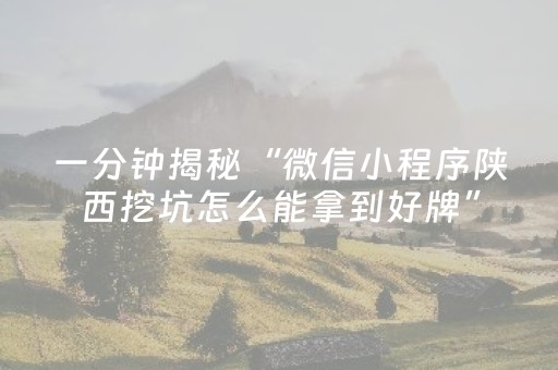 一分钟揭秘“微信小程序陕西挖坑怎么能拿到好牌”（透明挂辅助器)