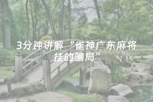 3分钟讲解“雀神广东麻将挂的骗局”（怎么能调好牌)