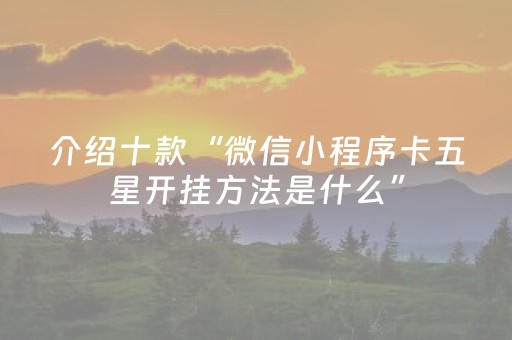 介绍十款“微信小程序卡五星开挂方法是什么”（辅助器下载)