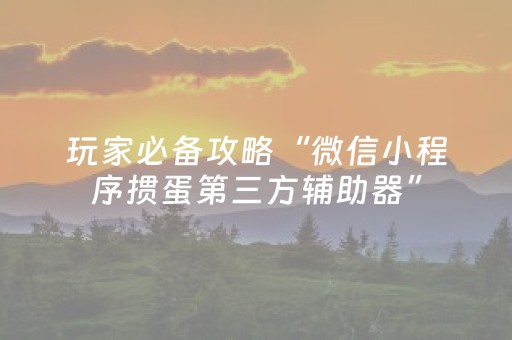 玩家必备攻略“微信小程序掼蛋第三方辅助器”（自建房怎么赢)