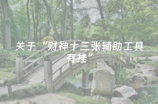 关于“财神十三张辅助工具有挂”（软件出售)