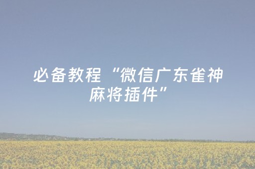 必备教程“微信广东雀神麻将插件”（控牌神器)