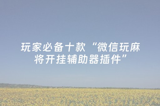 玩家必备十款“微信玩麻将开挂辅助器插件”（胜负规律拿好牌)