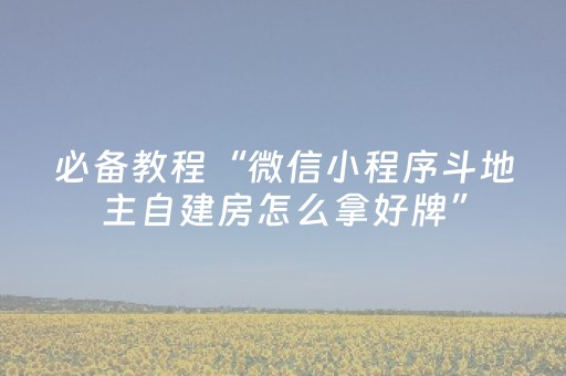 必备教程“微信小程序斗地主自建房怎么拿好牌”（辅助神器免费)