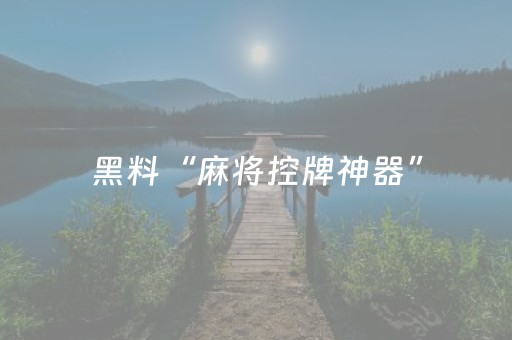 黑料“麻将控牌神器”（开挂辅助插件)