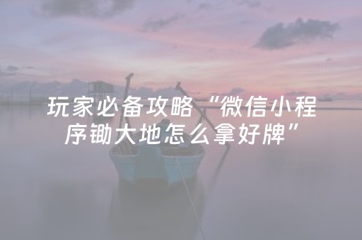 玩家必备攻略“微信小程序锄大地怎么拿好牌”（专用神器)