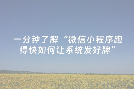 一分钟了解“微信小程序跑得快如何让系统发好牌”（插件可信吗)