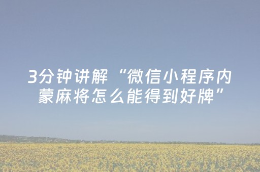 3分钟讲解“微信小程序内蒙麻将怎么能得到好牌”（挂件神器)